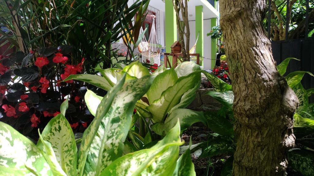 Hostal & Spa Casa Real بانيوس المظهر الخارجي الصورة