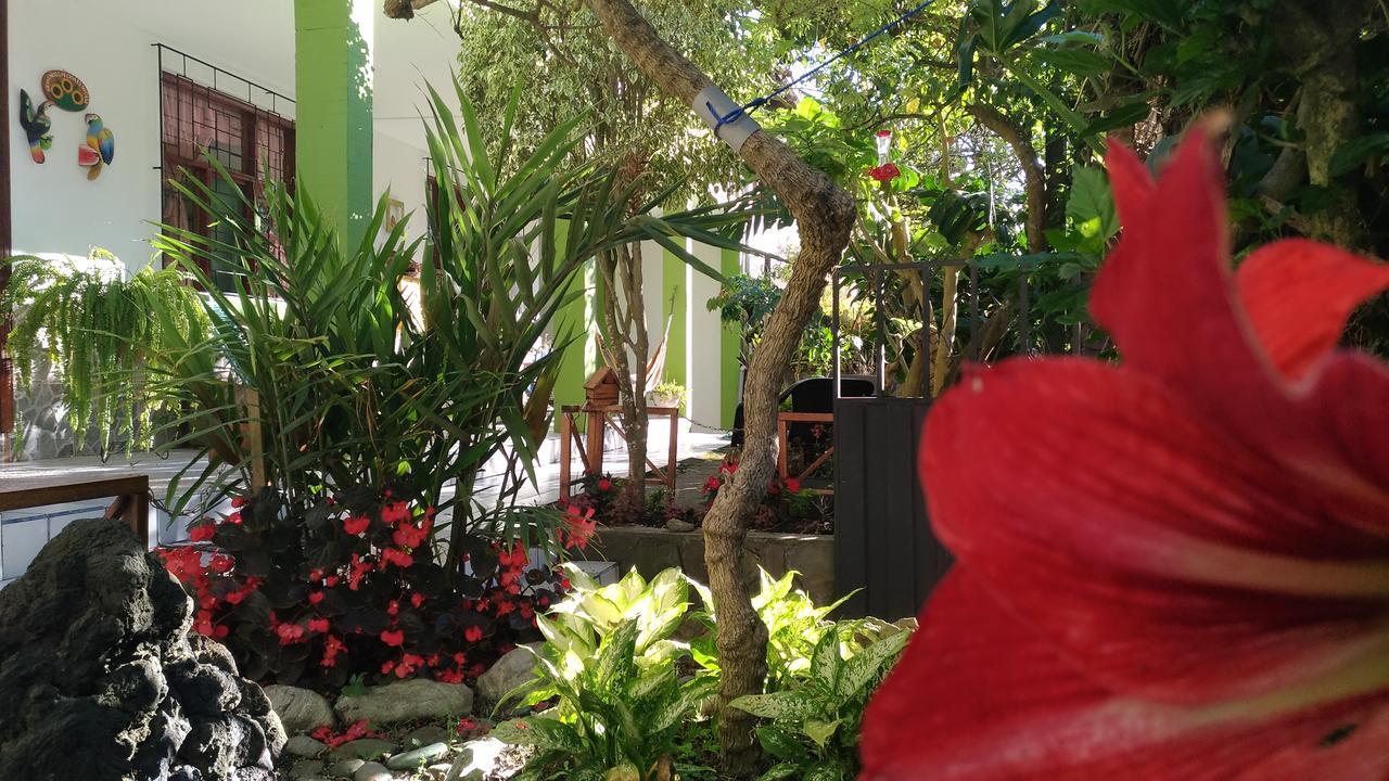 Hostal & Spa Casa Real بانيوس المظهر الخارجي الصورة
